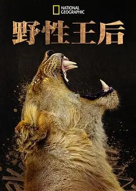 《野性王後》：雌獅的生存哲學與母性光輝，一場關於力量與愛的壯麗史詩